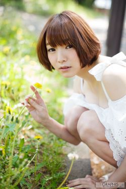 孙红雷新世界免费观看