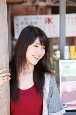 《金花瓶楷梅花2》