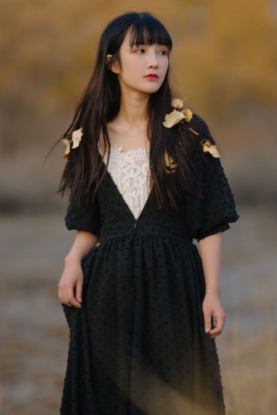 星空无限传媒免费观看电视剧赘婿