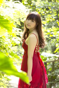 驯服小挗子2韩语中字